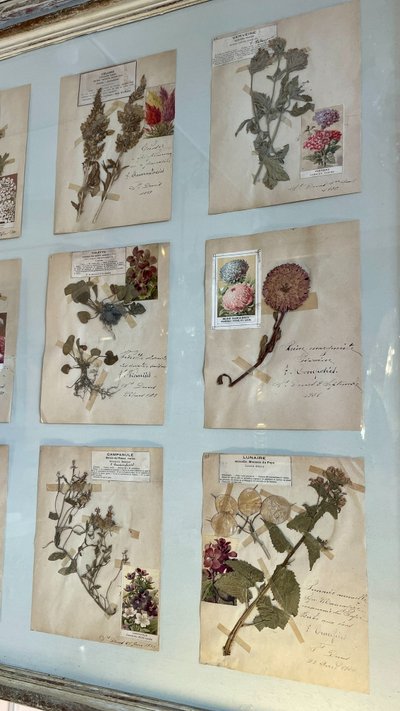 Botanical Panel, 20th Century