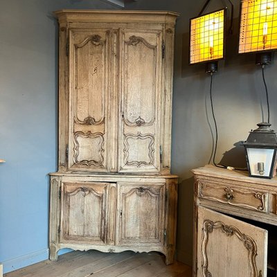 Louis XV Style Stripped Oak Corner Cabinet