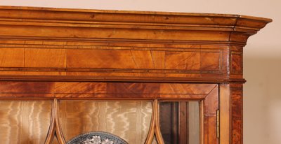 19th Century Mahogany And Burl Walnut Display Cabinet With Lighting