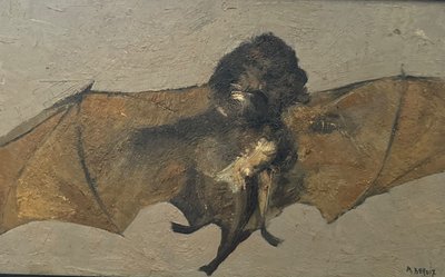 Portrait of a bat