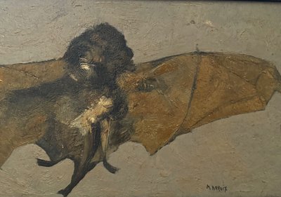 Portrait of a bat