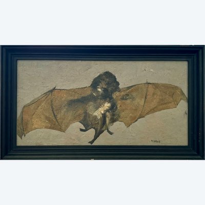 Portrait of a bat