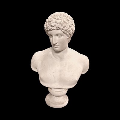 Large bust after the antique Hermes called "antinous Albani" 20th century plaster H 70 cm