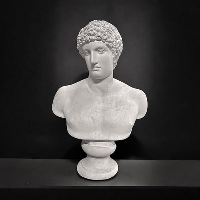 Large bust after the antique Hermes called "antinous Albani" 20th century plaster H 70 cm