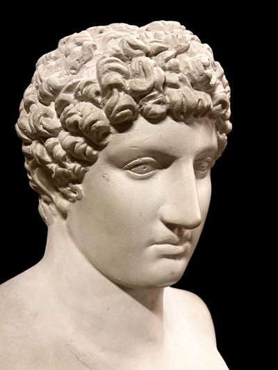 Large bust after the antique Hermes called "antinous Albani" 20th century plaster H 70 cm