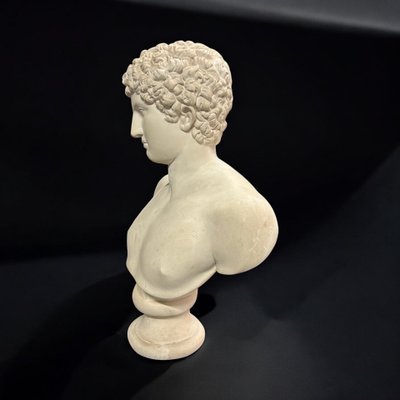 Large bust after the antique Hermes called "antinous Albani" 20th century plaster H 70 cm