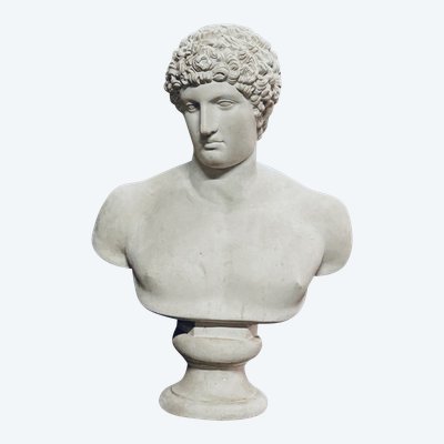 Large bust after the antique Hermes called "antinous Albani" 20th century plaster H 70 cm