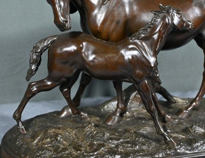 Mare and her foal in Regulus, after P-J.Mène – End of the 19th century