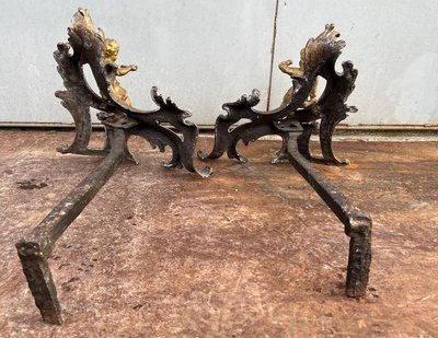 Pair of 18th century bronze andirons