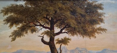 19th Century South American School - Landscape in a Valley Near Mountains and a Tree