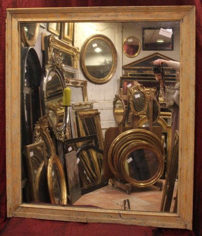 111 X127 Rectangle Mirror Patinated Wood, Mercury Glass