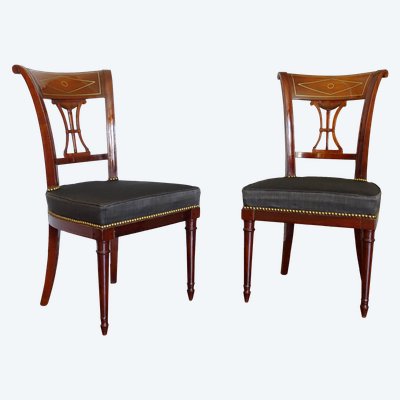 Pair of Russian Directoire chairs in mahogany, brass and ebony, horsehair cover