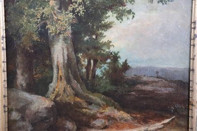 Forest Landscape, Oil Painting on Canvas, Late 19th Century