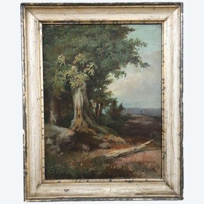 Forest Landscape, Oil Painting on Canvas, Late 19th Century