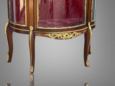 1/2 MOON GLASS CAGE DISPLAY CASE IN MARQUETRY AND BRONZE FROM THE NAPOLEON III PERIOD