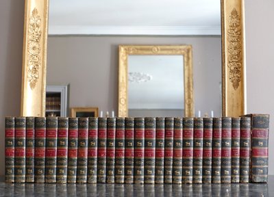 Buffon's Natural History, 26 volumes and colorized plates - fine leather binding - 1829