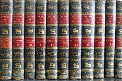 Buffon's Natural History, 26 volumes and colorized plates - fine leather binding - 1829