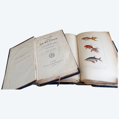 Buffon's Natural History, 26 volumes and colorized plates - fine leather binding - 1829