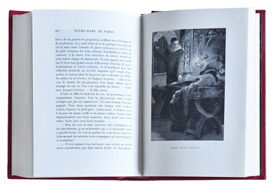 Œuvres complètes de Victor HUGO, Ausgabe Jean de Bonnot in Paris 1974, 40 Bände