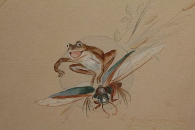 Humoristische Studie 'Frosch und Insekten' signierte Gouache-Zeichnung um 1920