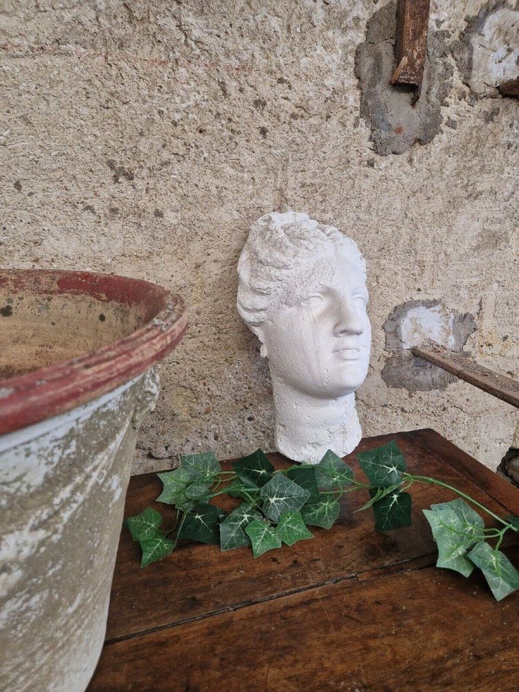 Antica scultura artistica a grandezza naturale con busto di Venere in gesso su placca da muro