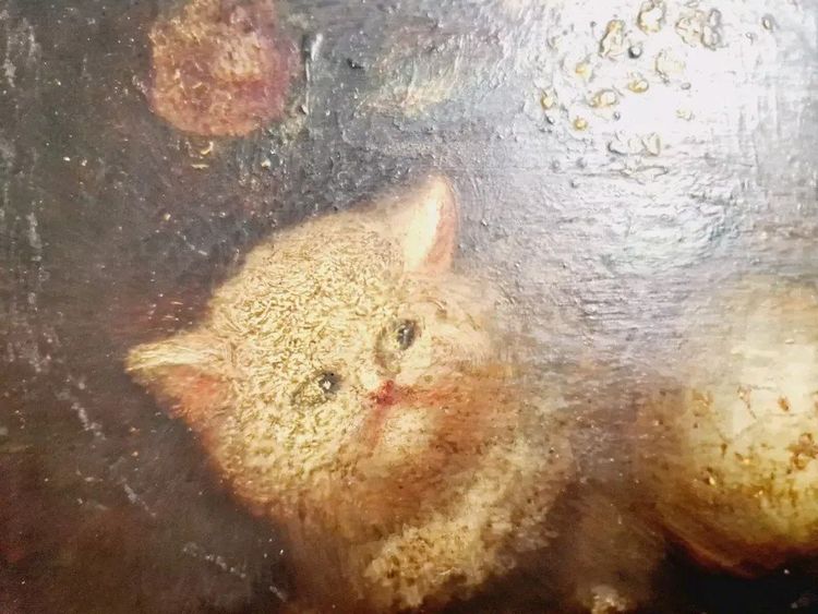 Peinture à l'Huile Chatons XIXe Siècle Signée Costa