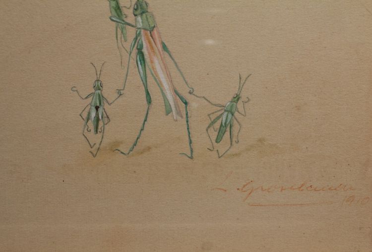 Études humoristiques représentant des insectes dessin gouaché signé vers 1910