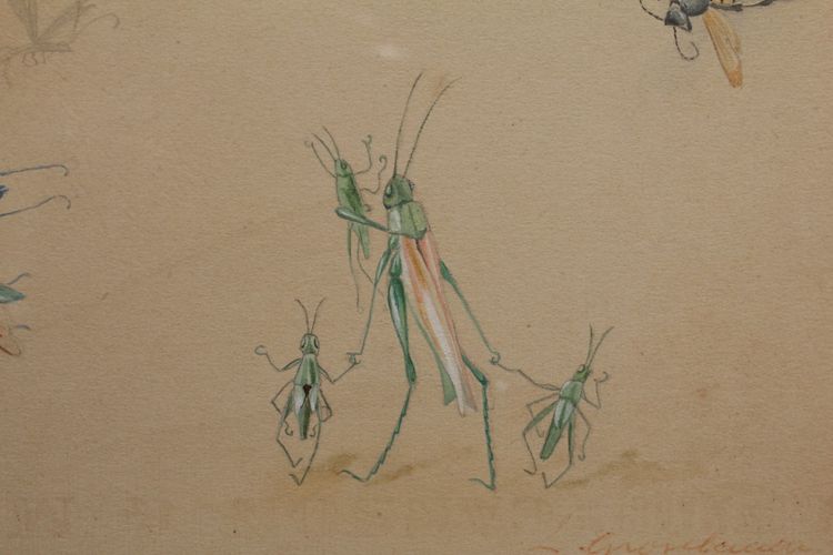 Studi umoristici raffiguranti insetti, disegno a guazzo firmato intorno al 1910