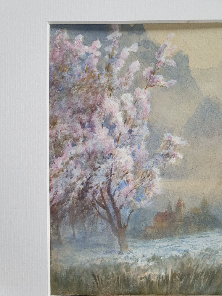 Aquarelle de cerisiers en fleurs d'après E. M. B. Warren