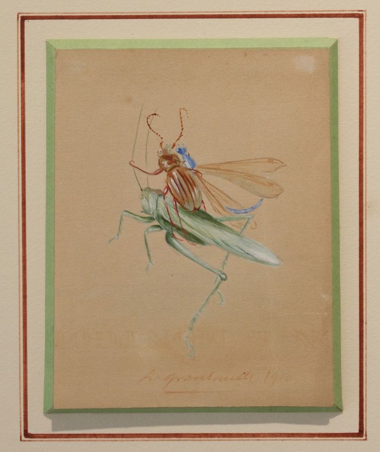 2 humorous studies representing insects in gouache signed between 1910 and 1920