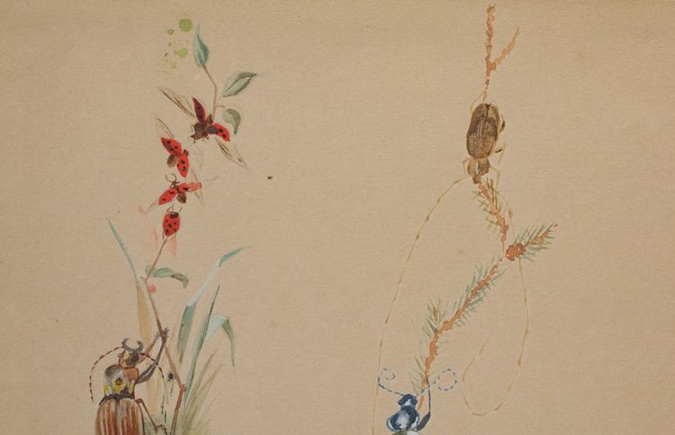 2 humorvolle Studien, die Insekten in Gouache darstellen, signiert zwischen 1910 und 1920