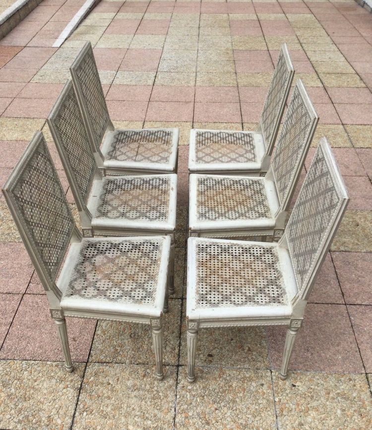 Set of six Louis XVI caned chairs in rechampi wood.