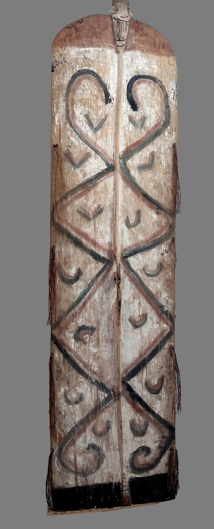 Large Polychrome Wooden Shield Asmat Iran Jaya, Wolmark Collection