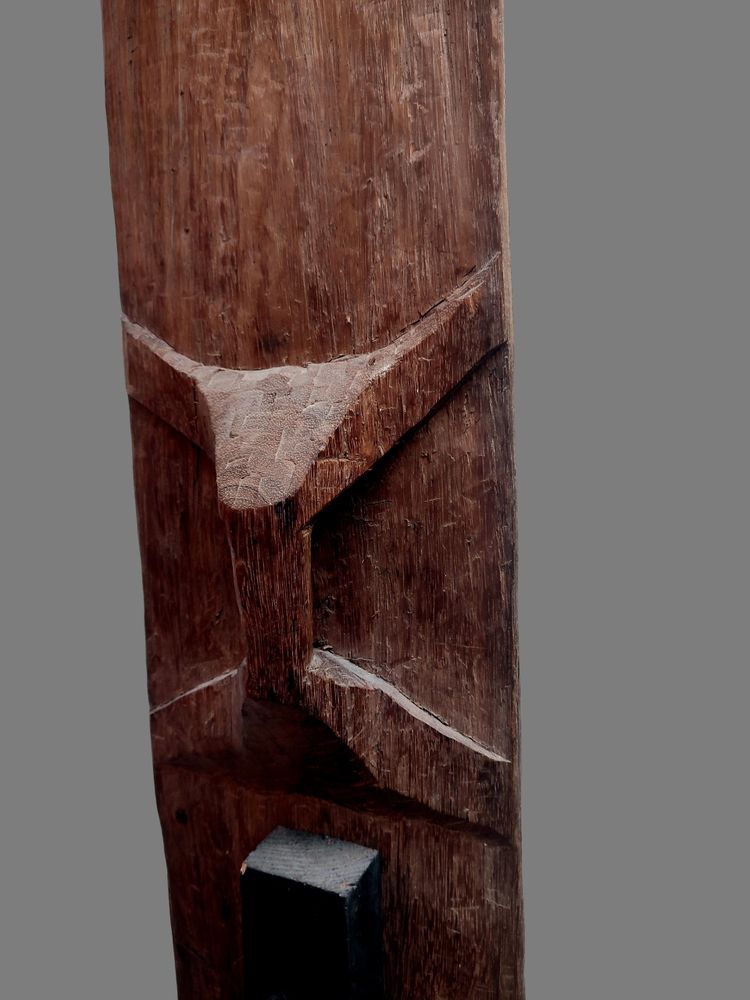 Large Natural Wood Shield Oceania Irian Jaya, Wolmark Collection