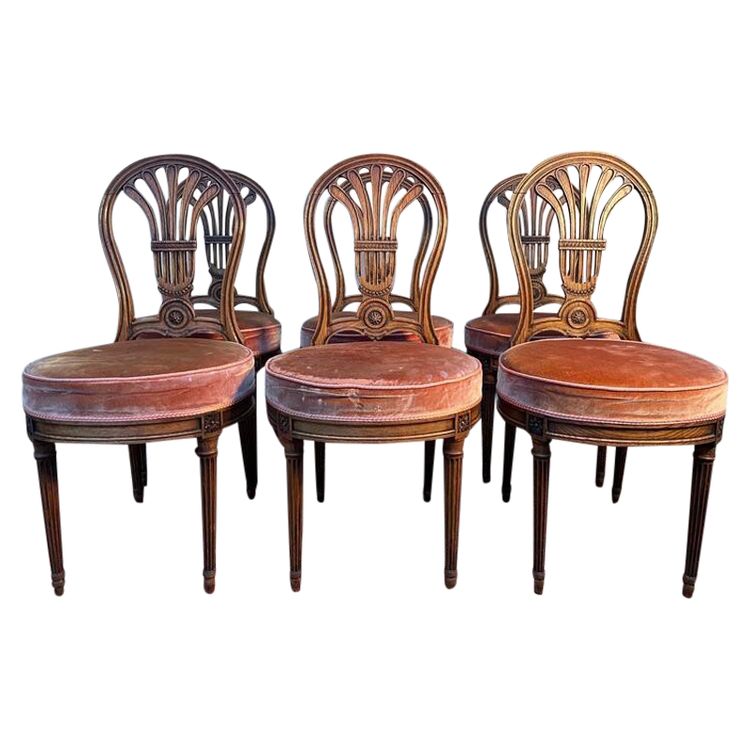 Continuation of 6 "hot air balloon" chairs in Louis XVI oak