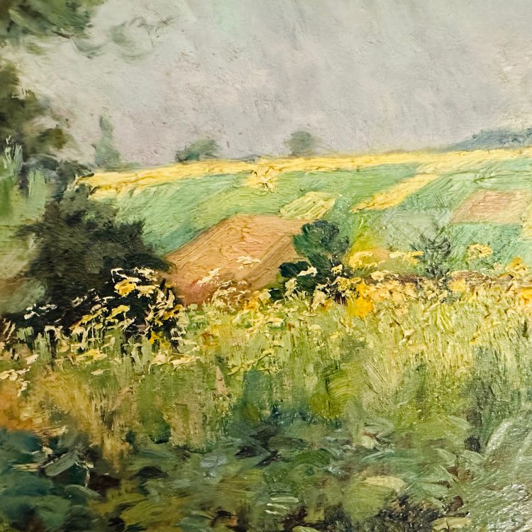 Olio su tela di G. Domergue