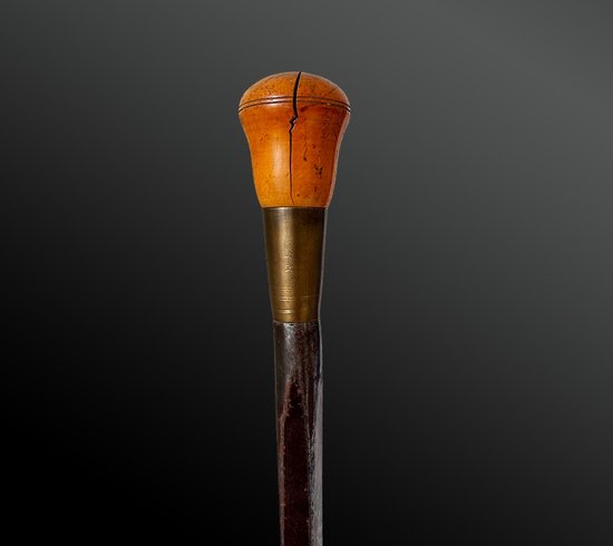 Saddler's cane - France - XIXth century