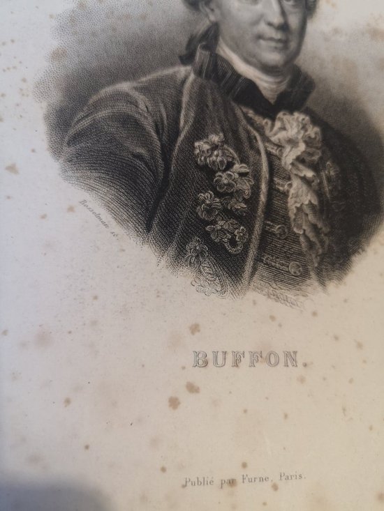 Complete Works of Buffon - Printed by H. Fournier et Cie. - 1840