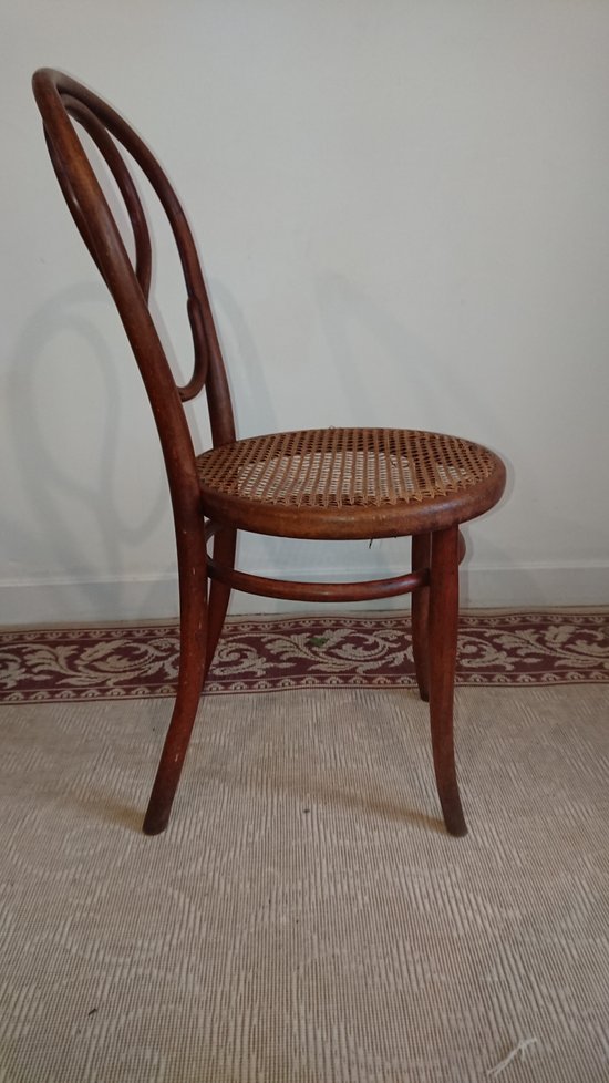 Sedie Omega Michael Thonet