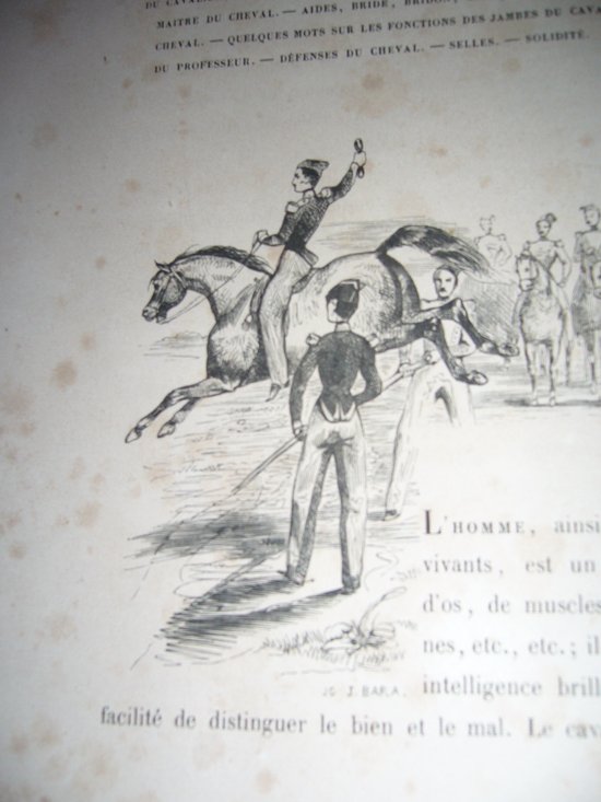 On horseback riding and stud farms by Count Savary de Lancosmes- Breves 1843