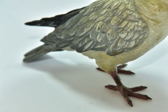             Pigeon Biset Bronze De Vienne taille réelle Geschultz époque XIXème            