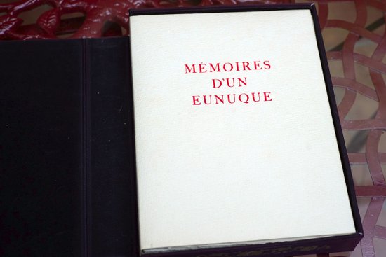 Memoir of an Ennuque