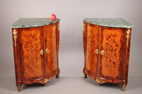 Pair of Louis XV period Flower Marquetry Coatings