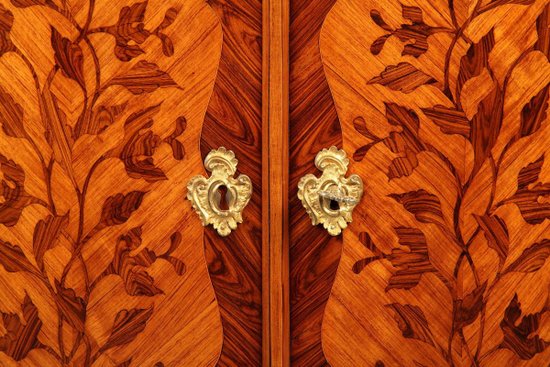 Pair of Louis XV period Flower Marquetry Coatings