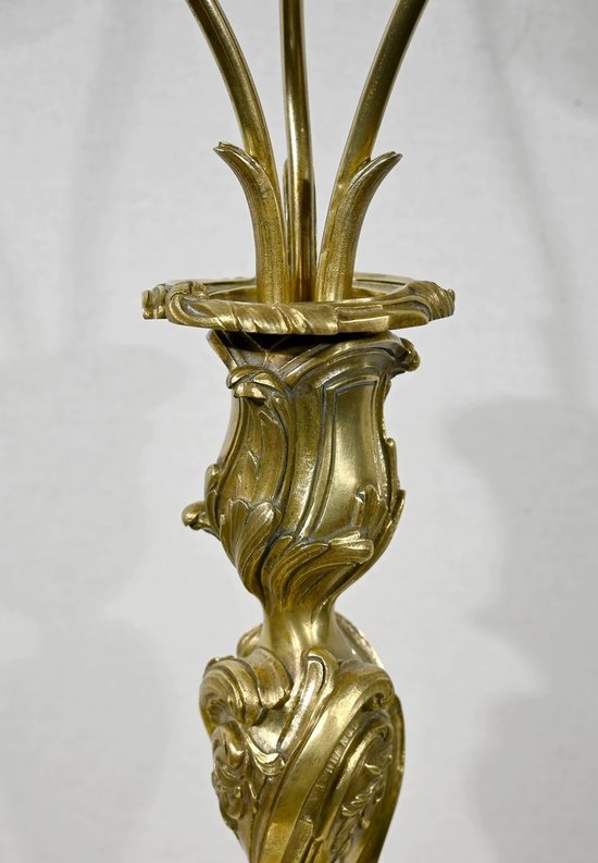 Lampada Art Nouveau in bronzo dorato - Fine XIX secolo