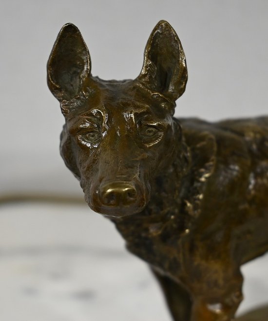 Bronze " The German Shepherd ", after P-A. Laplanche - Early XXth century