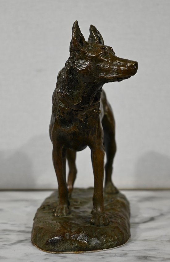 Bronze " The German Shepherd ", after P-A. Laplanche - Early XXth century