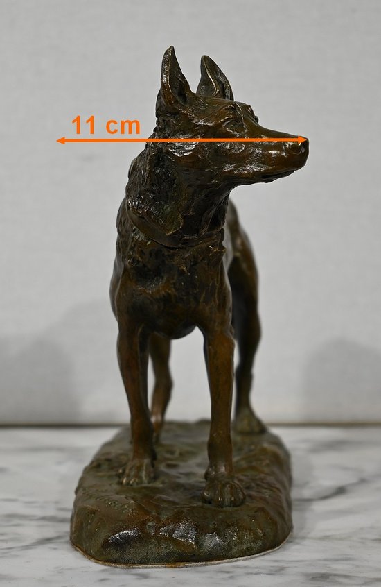 Bronze " The German Shepherd ", after P-A. Laplanche - Early XXth century