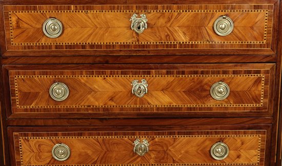 Small chest of drawers in Precious Wood Marquetry, stamped C-M. Magnien, Louis XVI period - XVIIIth century