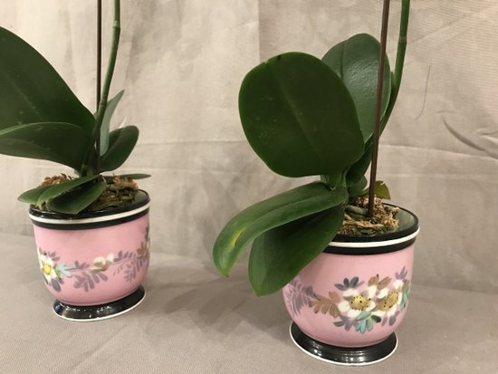 Pair Of 19th Century Porcelain Mini Planters